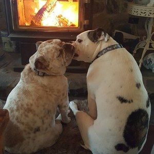 Meet your Posher, Brenda